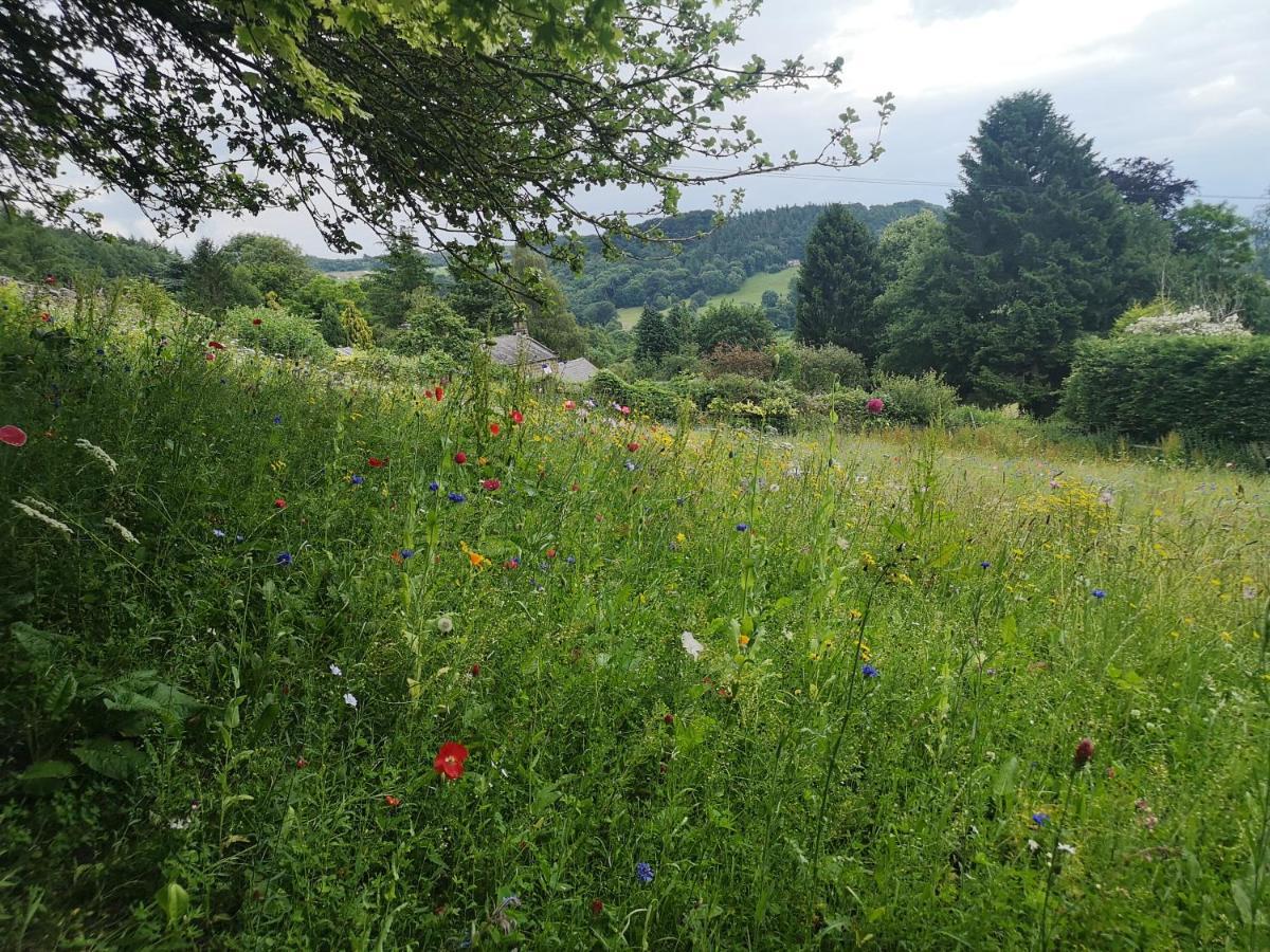 1 Bed Studio In Two Dales Near Matlock & Bakewell المظهر الخارجي الصورة